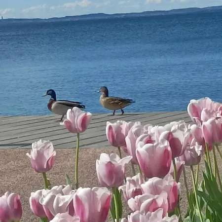 San Zeno 3, ,wi-fi, Park *