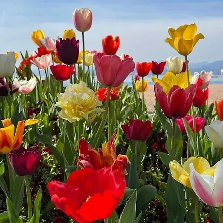 San Zeno 3, ,wi-fi, Park Lejlighed Bardolino