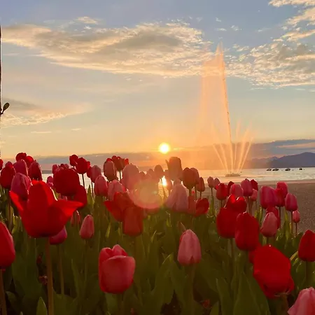 San Zeno 3, ,wi-fi, Park Lejlighed *